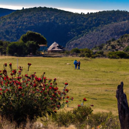 ¡Trágico ataque de tiburón en Egipto! Conoce los detalles del fallecimiento de un turista ruso