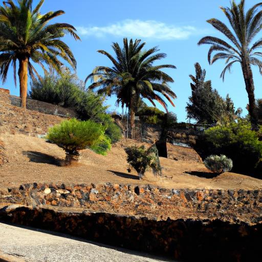 Trágico ataque de tiburón en Egipto: Detalles del suceso impactante